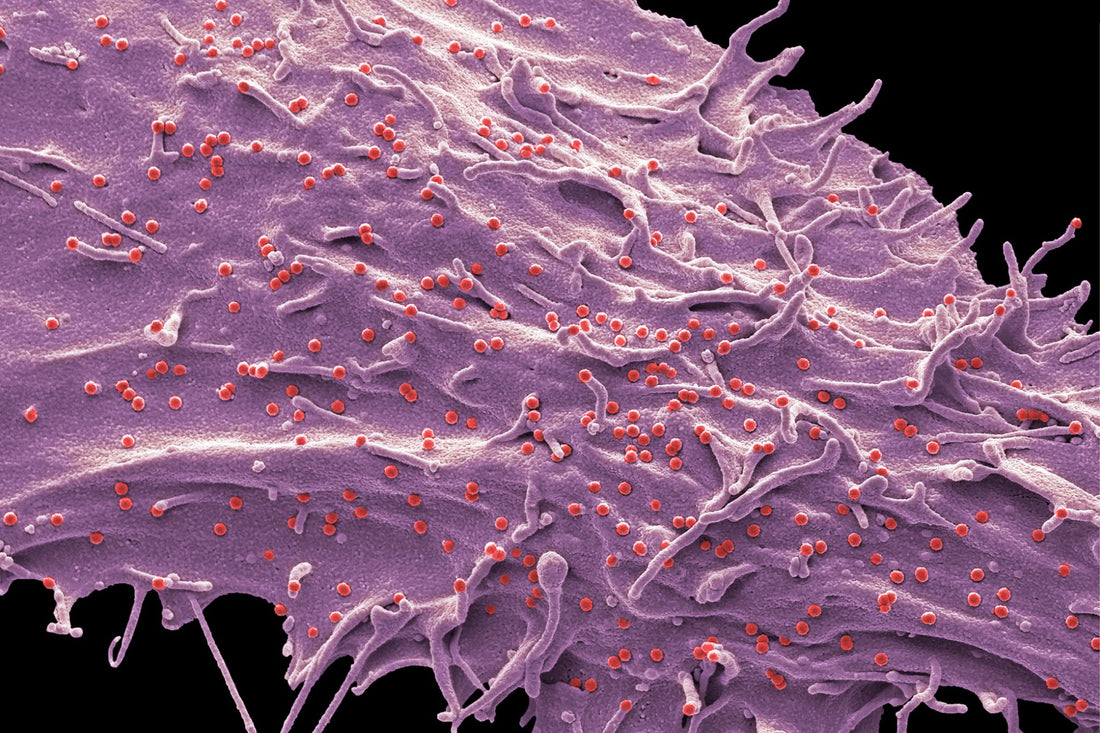Exosome in der Hautpflege