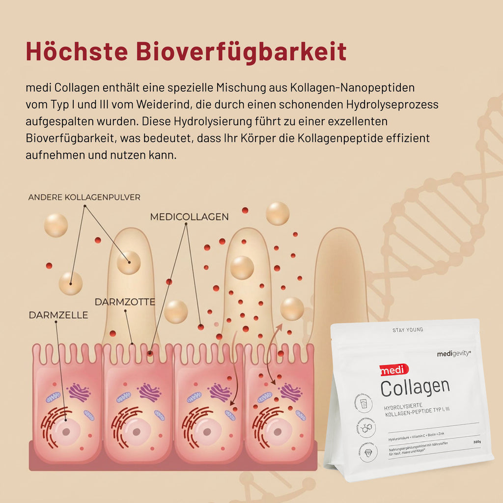 Infografik, die veranschaulicht, wie hydrolysiertes Kollagen-Nanopeptid-Pulver aus einem medigevity – medi Collagen Kollagenpulver-Beutel im Vergleich zu herkömmlichem Kollagen von den Darmzotten aufgenommen wird.