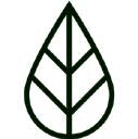 Blatt Icon