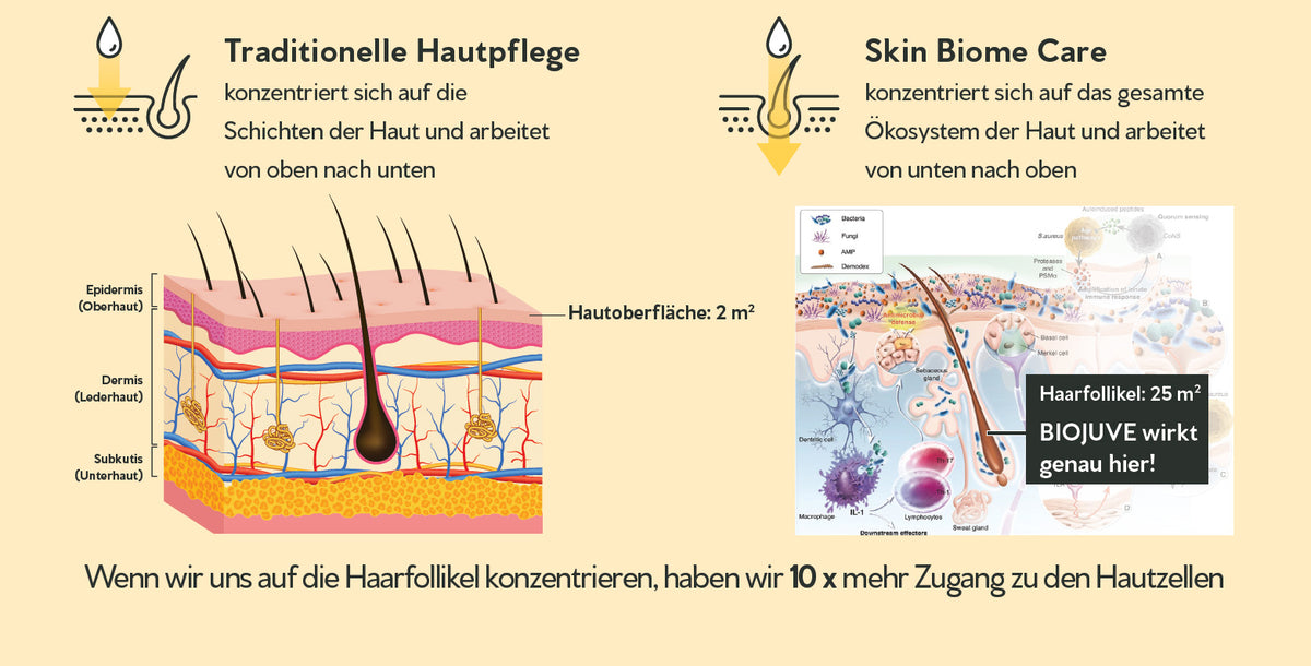 Biojuve Erklärung
