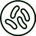 Mikroben Icon